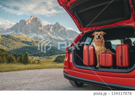 Traveling by Car with a Dog and Luggage in the Trunk Against a Scenic Mountain View Traveling by Car with a Dog and Luggage in the Trunk Against a Scenic Mountain View 134317078