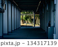 学校の中庭 134317139