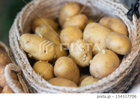 Farm potatoes in a basket at the market Farm potatoes in a basket at the market 134317706