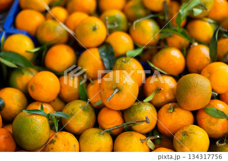Tangerines in shop window Tangerines in shop window 134317756