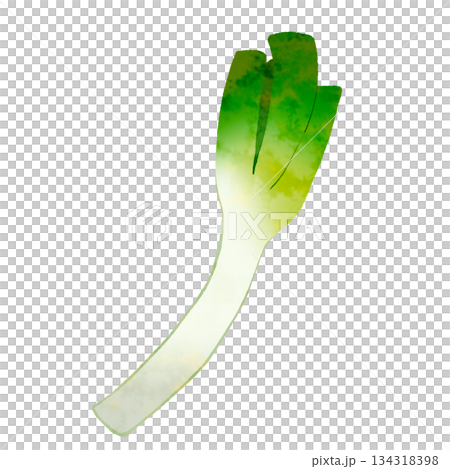 長ネギ 長ネギ 134318398