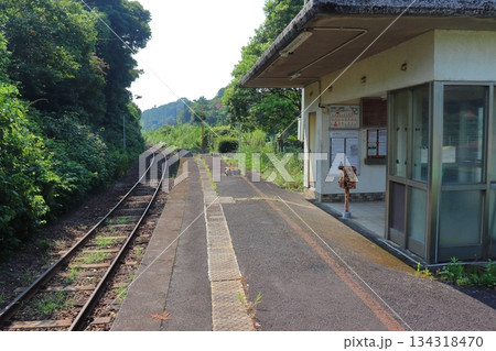 JR日南線 大隅夏井駅 駅構内 宮崎方面の景色 （鹿児島県志布志市） 134318470
