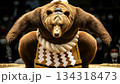 熊横綱 134318473
