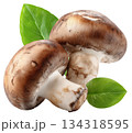 Champignons mushroom with leaf. 134318595