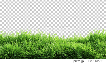 fresh green grass lawn. 134318596