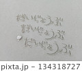 砂に書いたエール　だいじょうぶ！　ビーチメッセージ 134318727