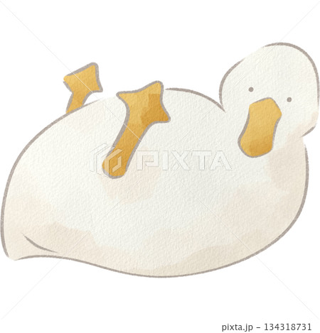 水彩風の白いアヒルのイラスト 水彩風の白いアヒルのイラスト 134318731
