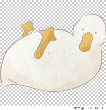 水彩風の白いアヒルのイラスト 水彩風の白いアヒルのイラスト 134318731
