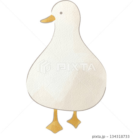 水彩風の白いアヒルのイラスト 134318733