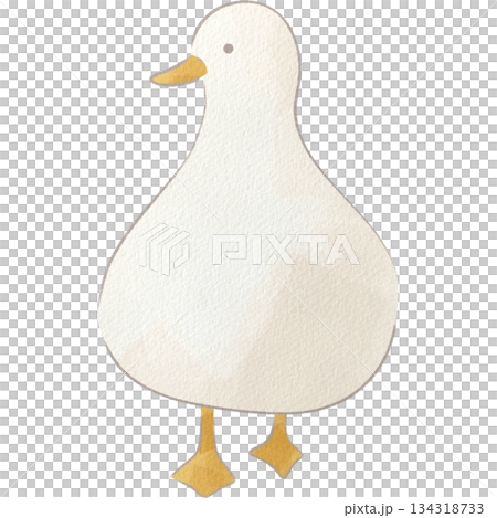 水彩風の白いアヒルのイラスト 134318733