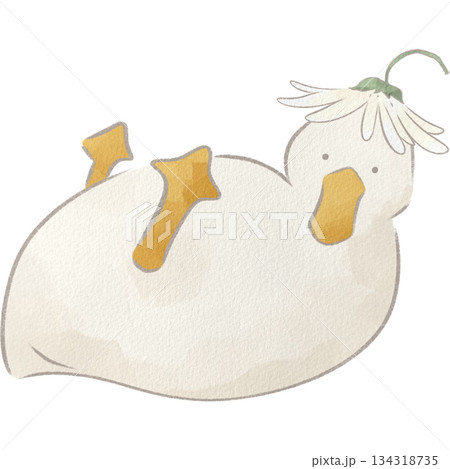 水彩風の白いアヒルのイラスト 水彩風の白いアヒルのイラスト 134318735