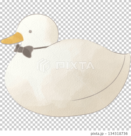 水彩風の白いアヒルのイラスト 水彩風の白いアヒルのイラスト 134318736