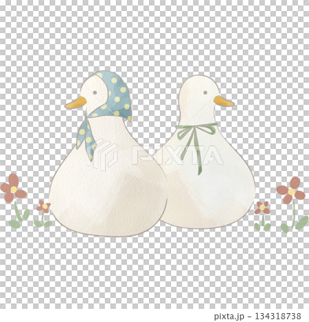 Watercolor style white duck illustration 134318738