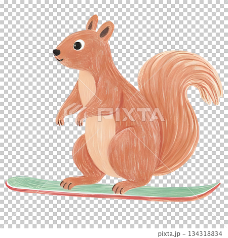 リスがスノーボードに乗っているイラスト 134318834