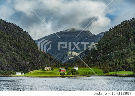 美しいノルウェーのフィヨルドと小さな家々 美しいノルウェーのフィヨルドと小さな家々 134318997