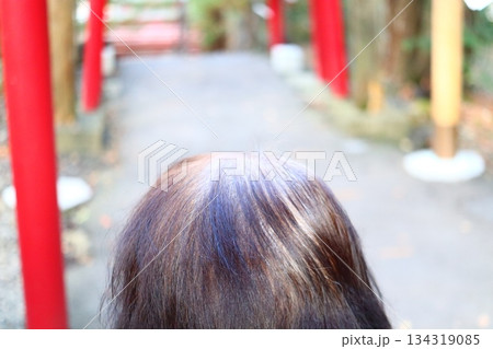 神社参拝中に見える女性シニアの頭皮と白髪・薄毛の悩み｜上からの視点 134319085