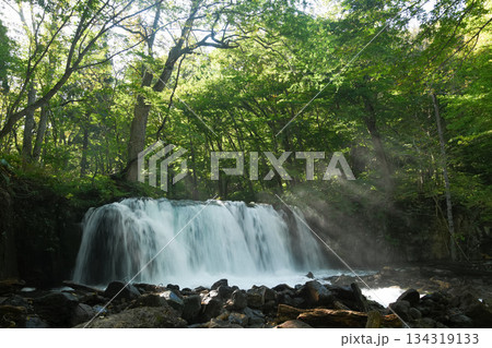 わたらせ渓谷銚子大滝 134319133