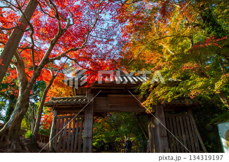 丈六寺の紅葉 丈六寺の紅葉 134319197