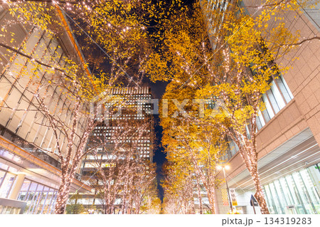 《東京都》丸の内・冬のイルミネーション 134319283