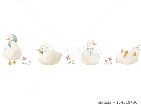 水彩風のかわいいアヒルたちのイラスト 水彩風のかわいいアヒルたちのイラスト 134319436