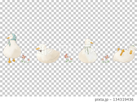 水彩風のかわいいアヒルたちのイラスト 水彩風のかわいいアヒルたちのイラスト 134319436