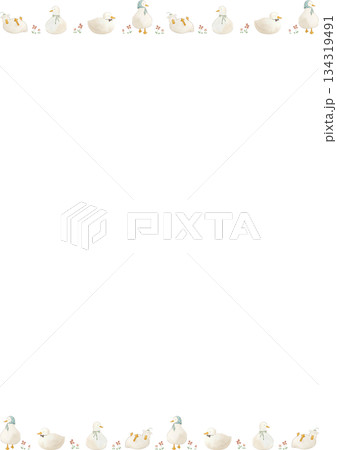 水彩風のアヒルたちのかわいいフレームイラスト 水彩風のアヒルたちのかわいいフレームイラスト 134319491