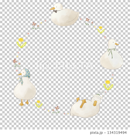 水彩風のアヒルたちのかわいいフレームイラスト 134319494