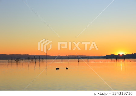 水面に映る朝日 134319716