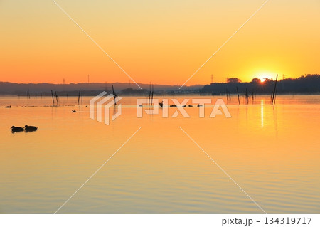 水面に映る朝日 134319717