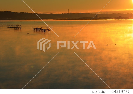 水面に映る朝日 134319777