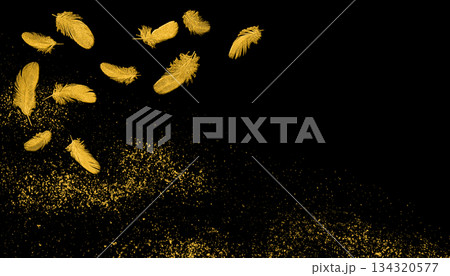 黒漆風の背景に金箔の羽根、和風の伝統工芸「蒔絵」のイメージ 黒漆風の背景に金箔の羽根、和風の伝統工芸「蒔絵」のイメージ 134320577
