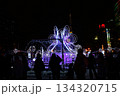 さっぽろホワイトイルミネーション 134320715