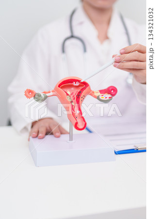 Woman patient consulting doctor with anatomy Uterus and Ovaries. Ovarian and Cervical cancer, Cervix disorder, Endometriosis, Hysterectomy, Uterine fibroids, Reproductive system and Pregnancy concept 134321032