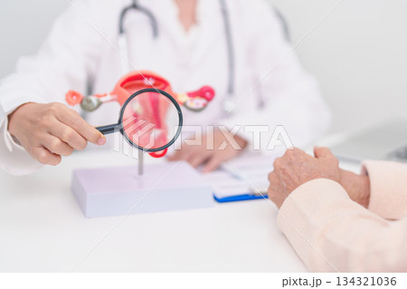 Woman patient consulting doctor with anatomy Uterus and Ovaries. Ovarian and Cervical cancer, Cervix disorder, Endometriosis, Hysterectomy, Uterine fibroids, Reproductive system and Pregnancy concept Woman patient consulting doctor with anatomy Uterus and Ovaries. Ovarian and Cervical cancer, Cervix disorder, Endometriosis, Hysterectomy, Uterine fibroids, Reproductive system and Pregnancy concept 134321036