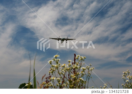 着陸する航空機 134321728