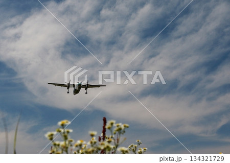 着陸する航空機 着陸する航空機 134321729