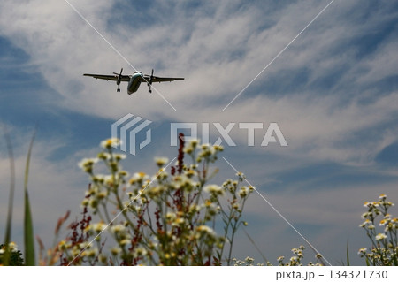 着陸する航空機 着陸する航空機 134321730