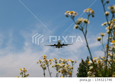 着陸する航空機 着陸する航空機 134321746