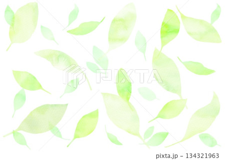 新緑の葉っぱが舞うシームレスパターン背景。春らしい爽やかな水彩イラスト。 134321963
