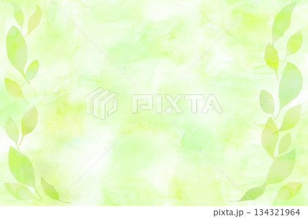 新緑の葉の水彩フレーム。グリーン背景で癒やしの雰囲気。 134321964