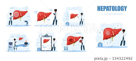 Digestive system disease set. Hepatologist consultation with medical test and treatment. Vector hospital scene 134322492