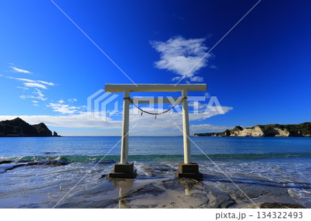 海に浮かぶ鳥居 134322493