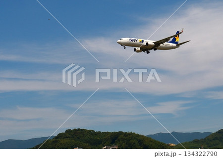 着陸する航空機 134322790