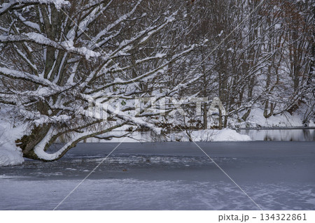 凍った池 134322861