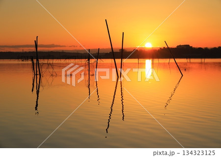 水面に映る朝焼け 134323125