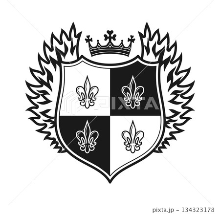 Coat of arms with heraldic classic lily shield crown wings crest set monochrome vector illustration Coat of arms with heraldic classic lily shield crown wings crest set monochrome vector illustration 134323178