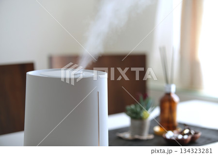 冬の時期に空気の乾燥から部屋を守る加湿器 冬の時期に空気の乾燥から部屋を守る加湿器 134323281