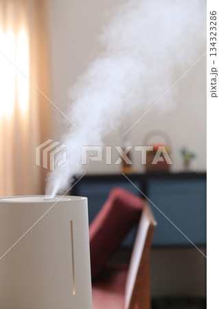 冬の時期に空気の乾燥から部屋を守る加湿器 冬の時期に空気の乾燥から部屋を守る加湿器 134323286