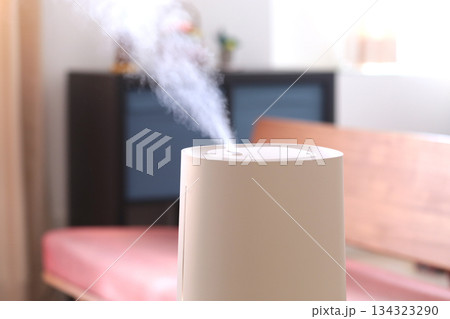 冬の時期に空気の乾燥から部屋を守る加湿器 冬の時期に空気の乾燥から部屋を守る加湿器 134323290