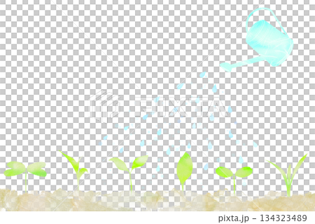 水彩插畫，描繪了用澆水壺給幼苗澆水的情景。寓意成長與教育。 134323489